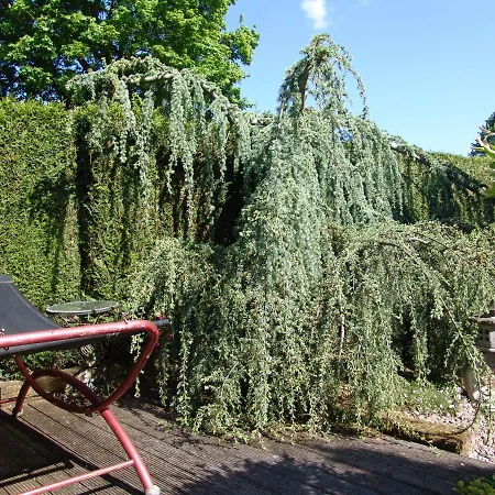 Full Privacy Holidayhouse + Lovely Garden.